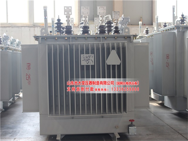 阎良S13-800KVA<font style='color:red'>油浸式变压器</font>