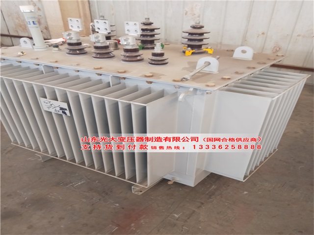 S13-800KVA阎良阎良阎良阎良油浸式变压器 S13-800KVA阎良阎良阎良阎良油浸式变压器